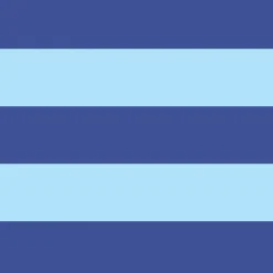 Trunks<Bluebuck Nautical Trunk