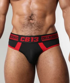 Briefs<CELLBLOCK13 Baseline Brief