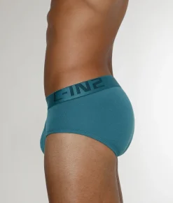 Briefs<C-IN2 Core Brief
