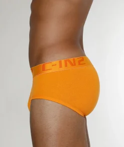 Briefs<C-IN2 Core Brief