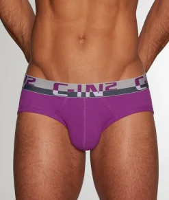 Briefs<C-IN2 C-Theory Brief