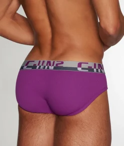 Briefs<C-IN2 C-Theory Brief