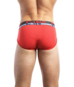 Briefs<C-IN2 C-Theory Brief