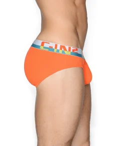 Briefs<C-IN2 C-Theory Brief