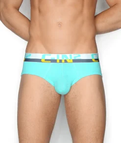 Briefs<C-IN2 C-Theory Brief