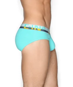 Briefs<C-IN2 C-Theory Brief