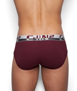 Briefs<C-IN2 C-Theory Brief