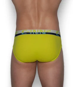 Briefs<C-IN2 C-Theory Brief
