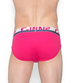 Briefs<C-IN2 C-Theory Brief