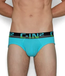 Briefs<C-IN2 C-Theory Brief