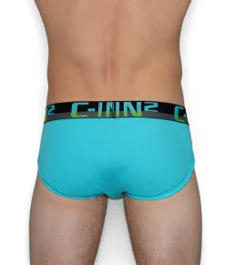 Briefs<C-IN2 C-Theory Brief