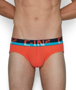 Briefs<C-IN2 C-Theory Brief