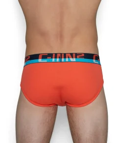 Briefs<C-IN2 C-Theory Brief