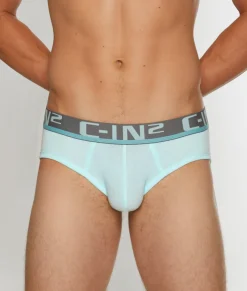 Briefs<C-IN2 C-Theory Brief