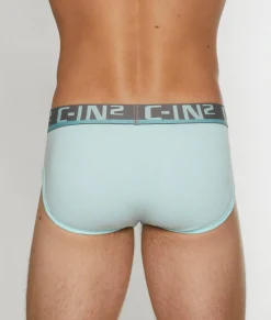 Briefs<C-IN2 C-Theory Brief