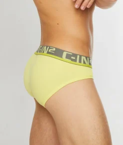 Briefs<C-IN2 C-Theory Brief