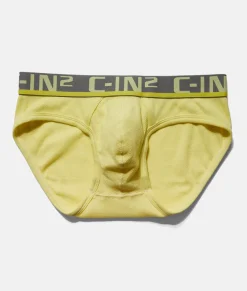 Briefs<C-IN2 C-Theory Brief