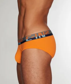 Briefs<C-IN2 C-Theory Brief