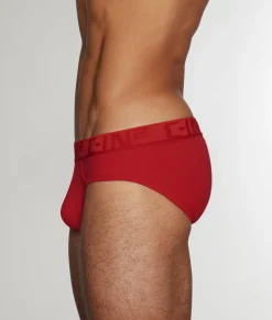 Briefs<C-IN2 C-Theory Brief
