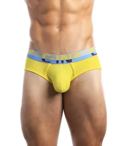 Briefs<C-IN2 C-Theory Brief