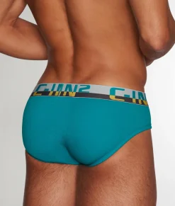 Briefs<C-IN2 C-Theory Brief