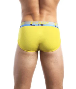Briefs<C-IN2 C-Theory Brief