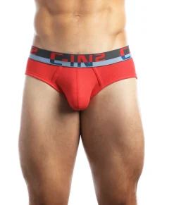 Briefs<C-IN2 C-Theory Brief