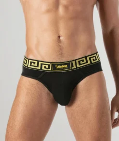 Briefs<Leader Invictus Brief
