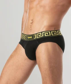 Briefs<Leader Invictus Brief