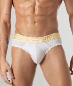 Briefs<Leader Invictus Brief