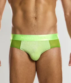 Briefs<Modus Vivendi Delusion Classic Brief