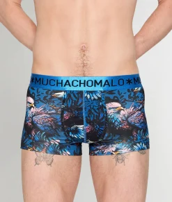 Trunks<Muchachomalo Trunk Eagle