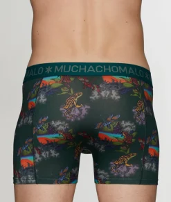 Boxer Briefs<Muchachomalo Frogger Boxer Brief