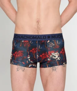 Trunks<Muchachomalo Trunk Palm Birds