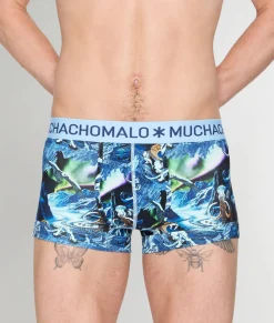 Trunks<Muchachomalo Trunk Pre History