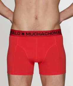 Boxer Briefs<Muchachomalo Solid Boxer Brief