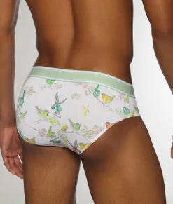 Briefs<Parke u0026 Ronen Parke & Ronen Bird Song Low Rise Brief Bird Song White