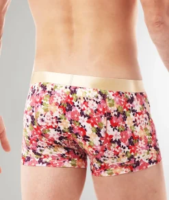 Trunks<Parke u0026 Ronen Parke & Ronen Printed Low-Rise Trunk