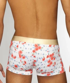 Trunks<Parke u0026 Ronen Parke & Ronen Printed Low-Rise Trunk