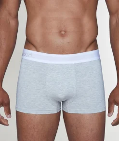 Trunks<Wood Trunk 2025