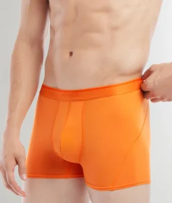 Trunks<2(X)IST Electric Trunk