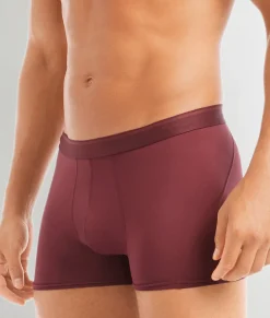 Trunks<2(X)IST Electric Trunk