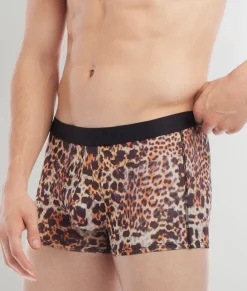 Trunks<2(X)IST SLIQ Trunk